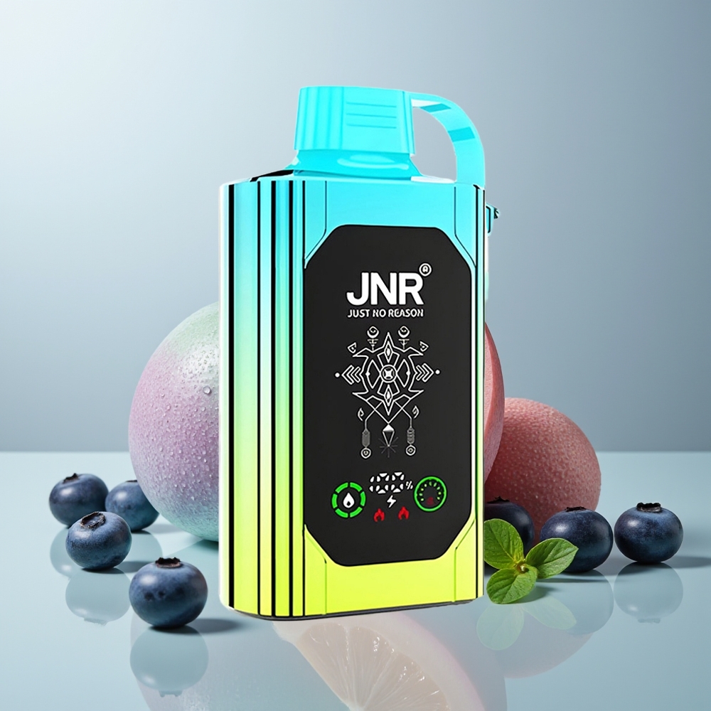 Wholesale Canada JNR Shisha Hookah Box 20500 Puffs HD Display Blueberry Mint