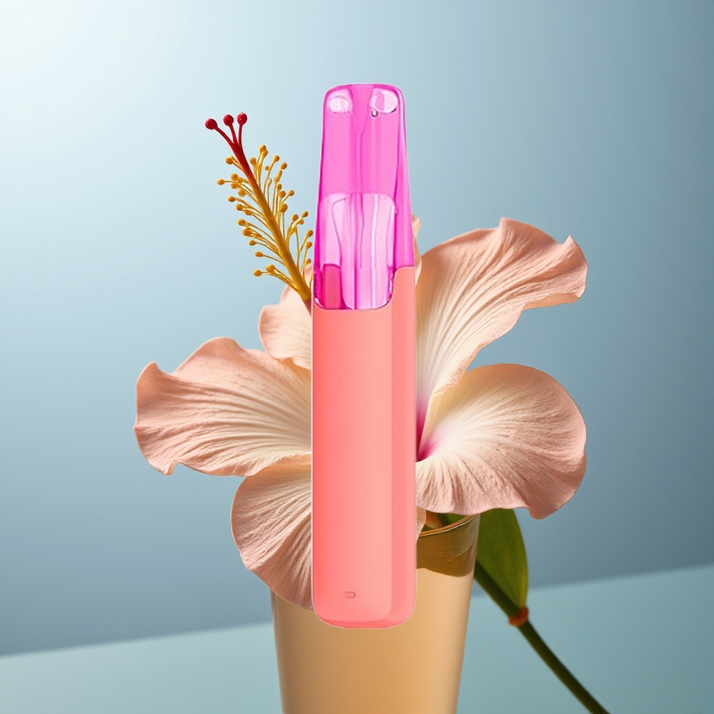 Wholesale Canada Snowplus Dash 4000 Puffs 530 mAh Hibiscus Ice Tea