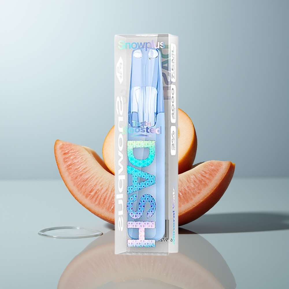 Wholesale Canada Snowplus Dash 4000 Puffs 530mAh Mineral Water