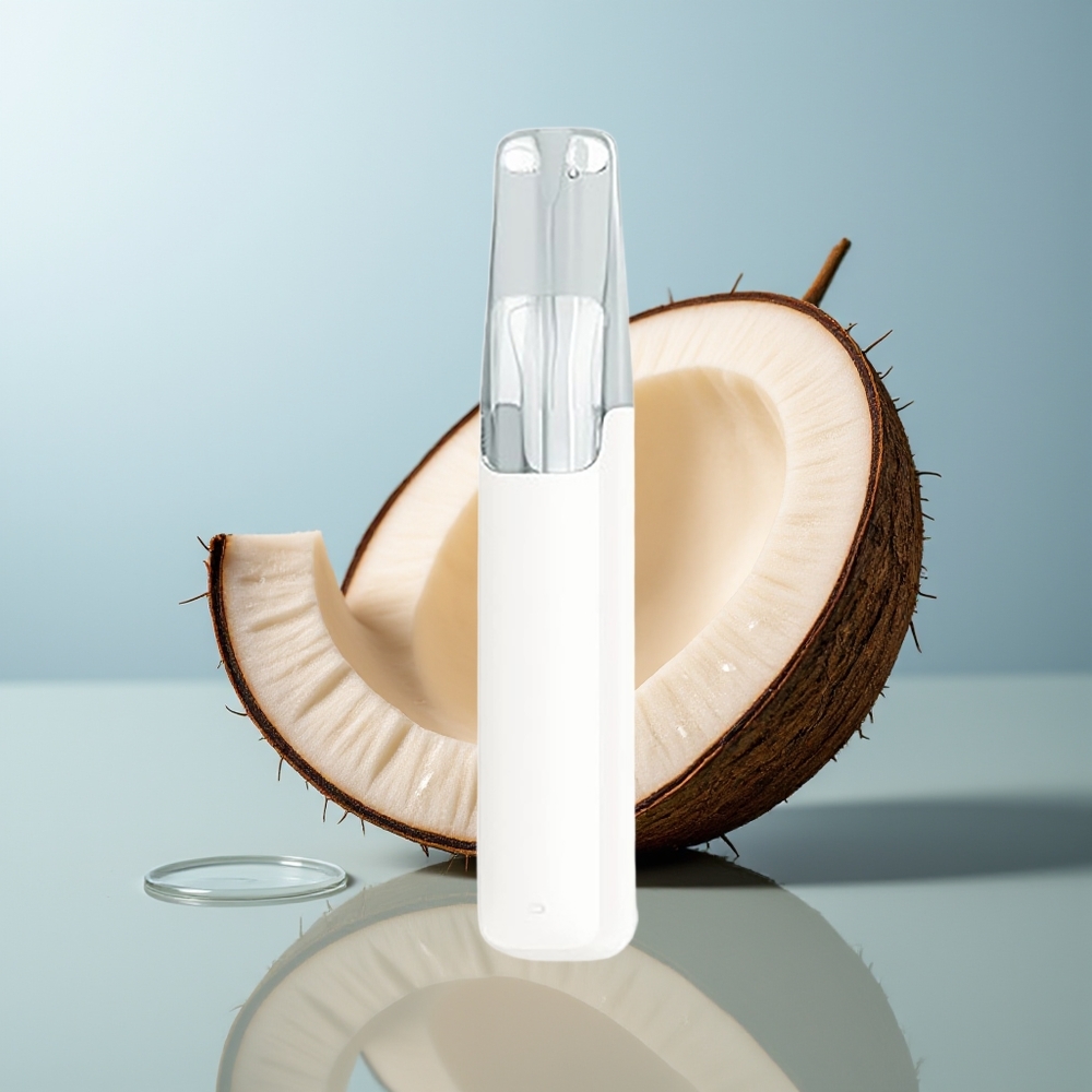Wholesale Canada Snowplus Dash 4000 Puffs 75ml Disposable Device Coconut Water