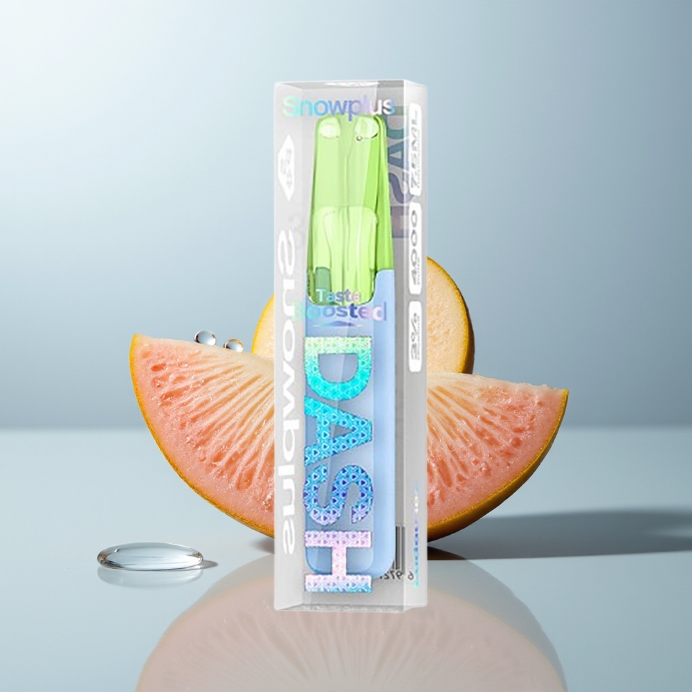 Wholesale Canada Snowplus Dash 4000 Puffs 75ml Ludou Ice