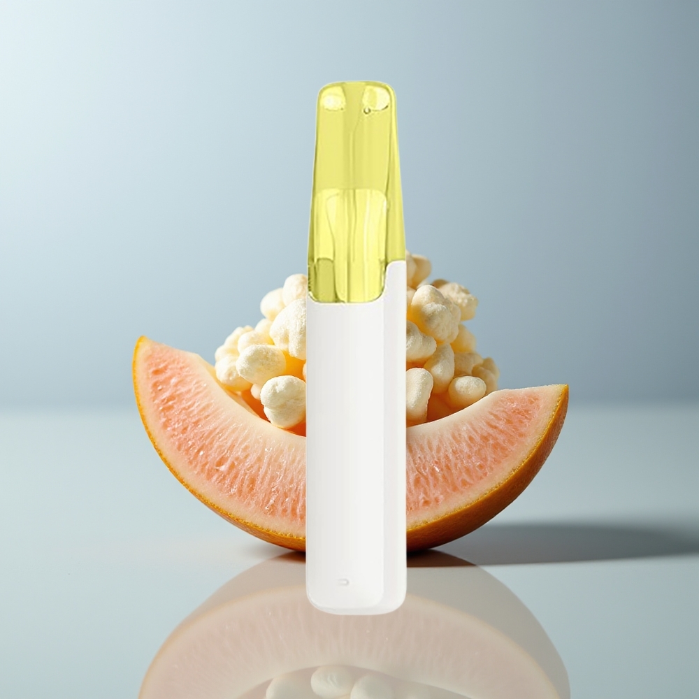 Wholesale Canada Snowplus Dash 4000 Puffs 75ml Vanilla Popcorn