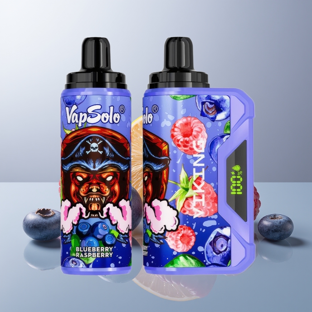 Wholesale Canada VapSolo VIKING 12000 Puffs 22ml Type-C Blueberry Raspberry