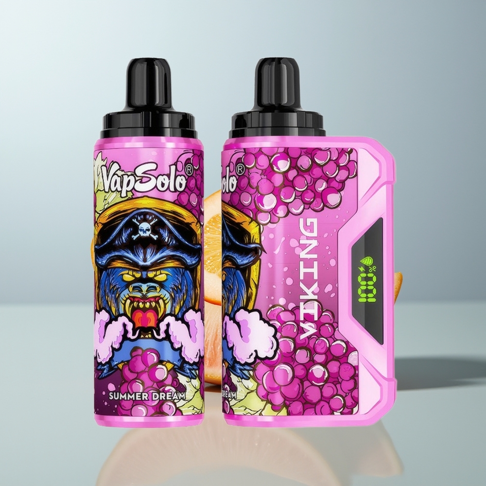 Wholesale Canada VapSolo VIKING 12000 Puffs 22ml Type-C Disposable Vape Summer Dream