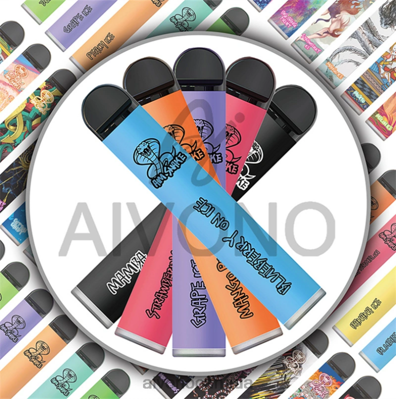 Aivono AIM SNAKE 2500 Mojito RBX2X323 - Aivono Vape Canada