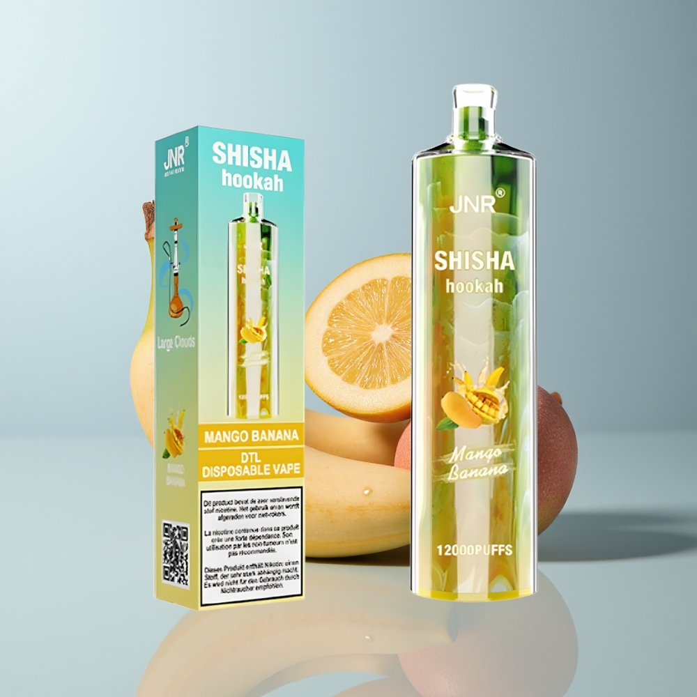 Wholesale Canada JNR Shisha Hookah 12000 Puffs Type-C Fast Charging Mango Banana