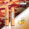 Aivono AIM BOOM 600 Mango Pineapple RBX2X360 - Aivono Canada