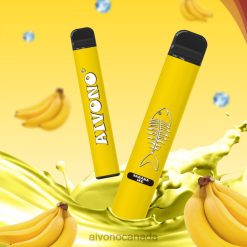 Aivono AIM FISHBONE 600 Banana Ice RBX2X276 - Aivono Canada