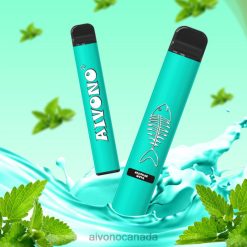 Aivono AIM FISHBONE 600 Cool Mint RBX2X278 - Aivono Vape Review