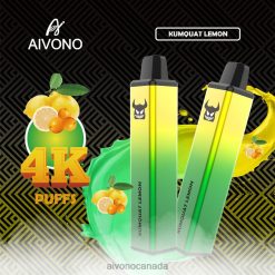 Aivono AIM FREAK 4000 Kumquat Lemon RBX2X256 - Aivono Canada