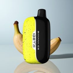 Wholesale Canada IGET Moon K5000 5000 Puffs Banana Ice Disposable Vape PC Mesh Coil