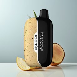 Wholesale Canada IGET Moon K5000 5000 Puffs Mesh Coil Disposable Vape Pineapple Coconut