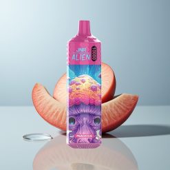 Wholesale Canada JNR Alien 10000 Puffs 850mAh Type-C Peach Ice