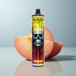 Wholesale Canada JNR Calavera 11000 Puffs 21ml Peach Mango