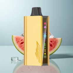 Wholesale Canada JNR Cruiser 12000 Puffs Built-in 3500 mAh Battery Animation Screen Display Watermelon Ice