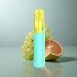 Wholesale Canada Snowplus Dash 4000 Puffs 530 mAh Green Grape